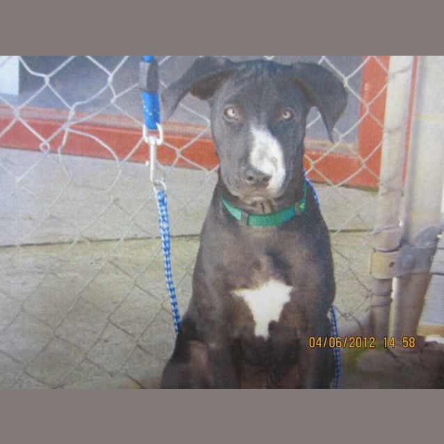 Photo of Hugo (Foster Carer Needed)
