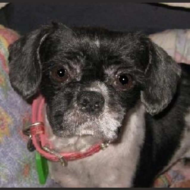 Photo of Meggie