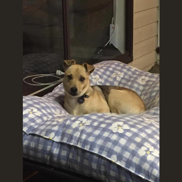 Photo of Brew
