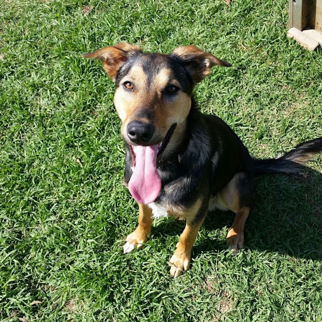 Photo of Koby The Kool Kid