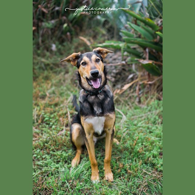 Photo of Koby The Kool Kid