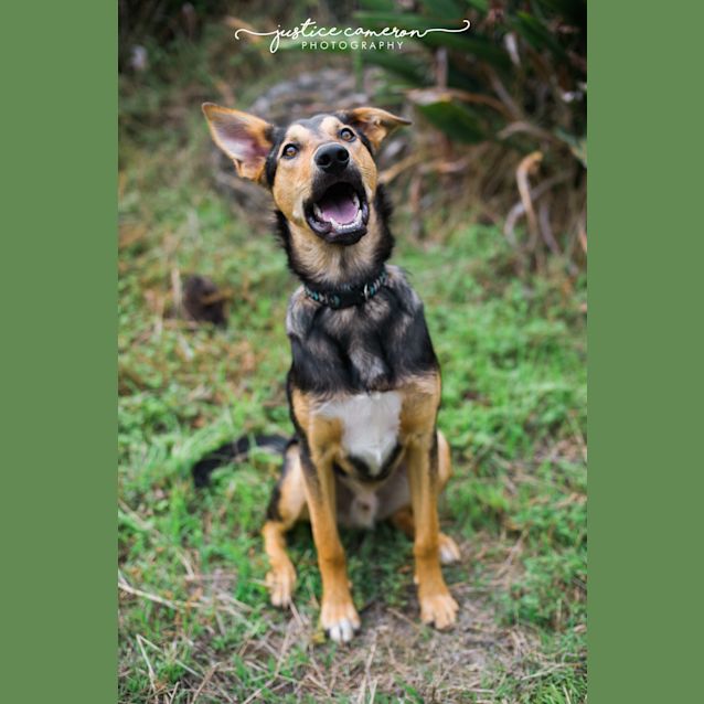 Photo of Koby The Kool Kid