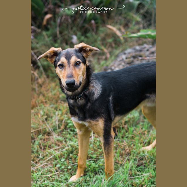 Photo of Koby The Kool Kid