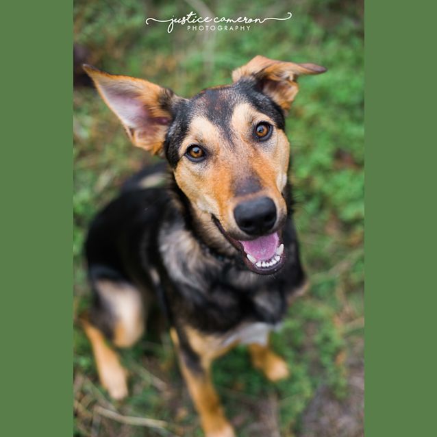 Photo of Koby The Kool Kid