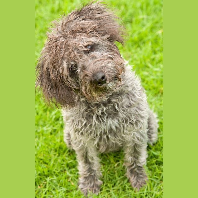 Photo of Marley Id7699