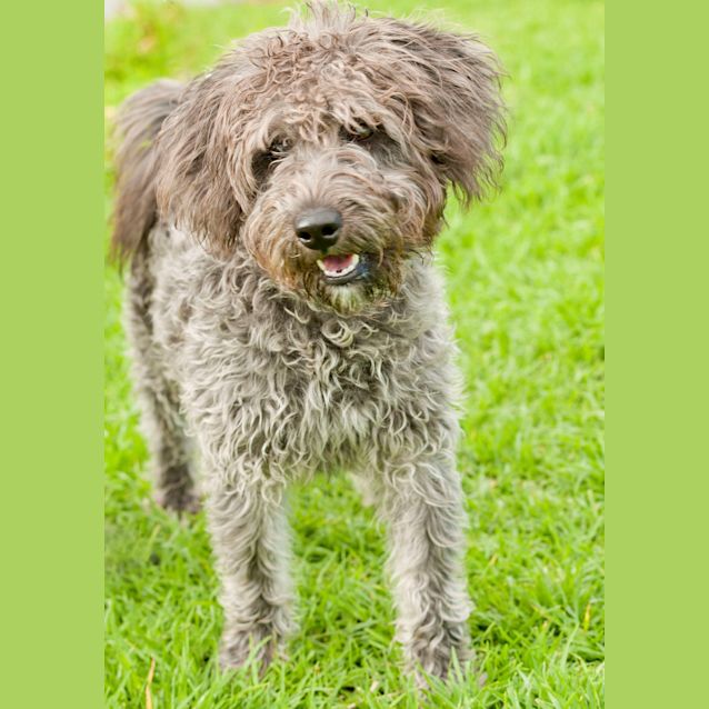 Photo of Marley Id7699