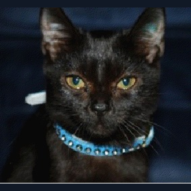 Photo of Spooky