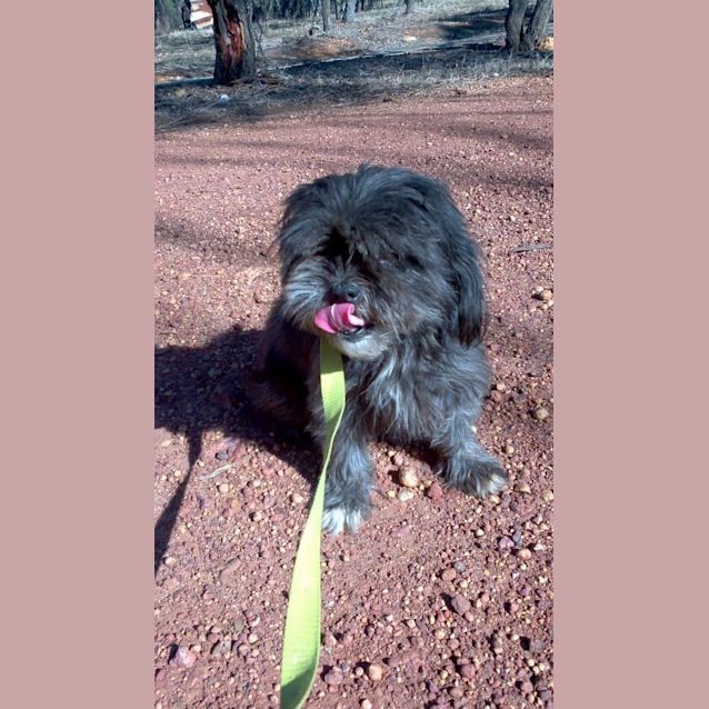 Photo of Sookie *On Trial*
