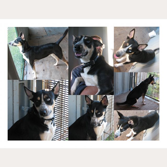 Photo of Skye