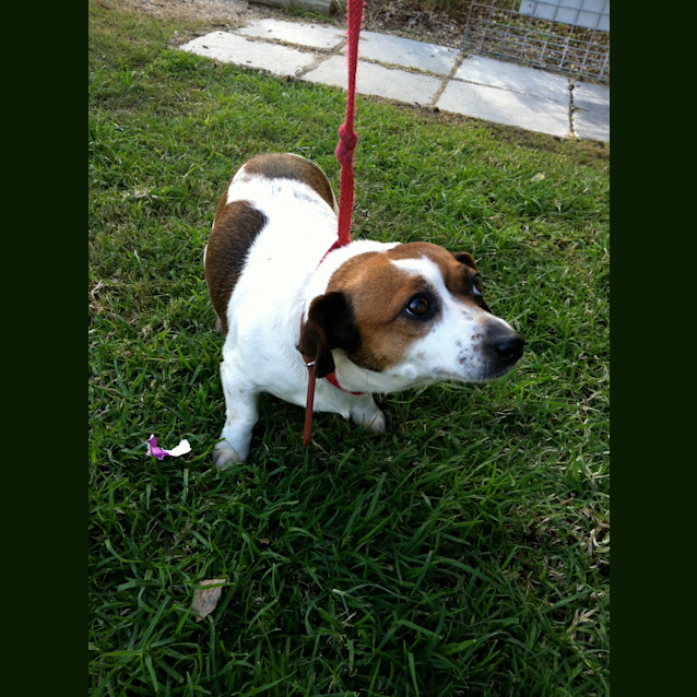 Photo of Anna   Id 6864