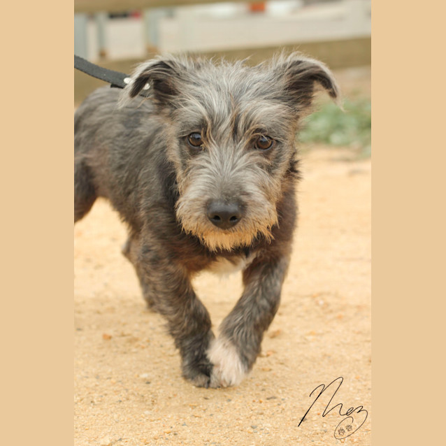 Photo of Benny
