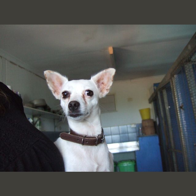 Photo of Penelope
