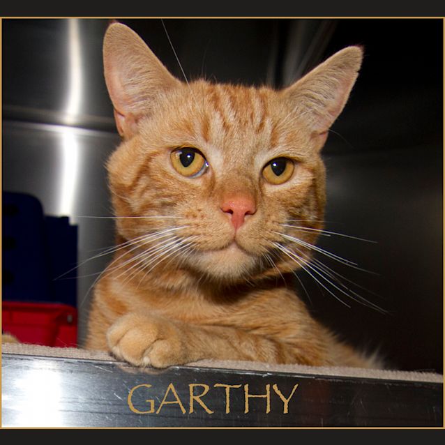 Photo of Garthy