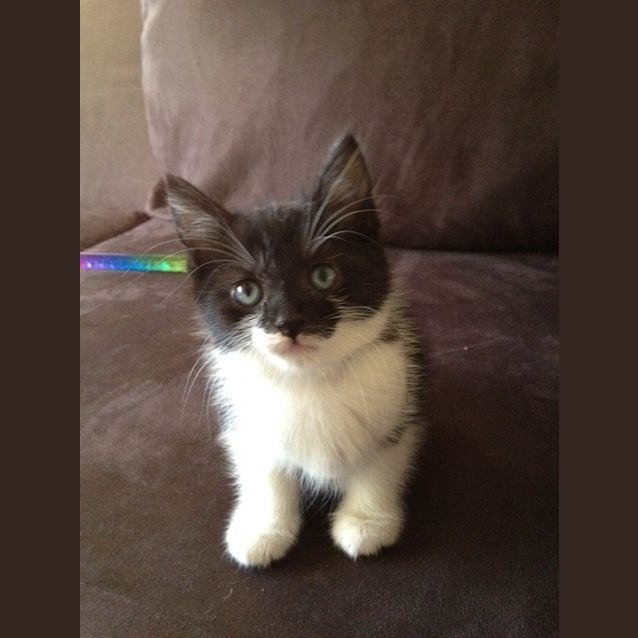 Photo of Judd