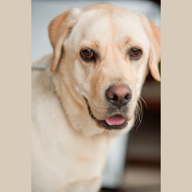 Photo of Roxy Id7820