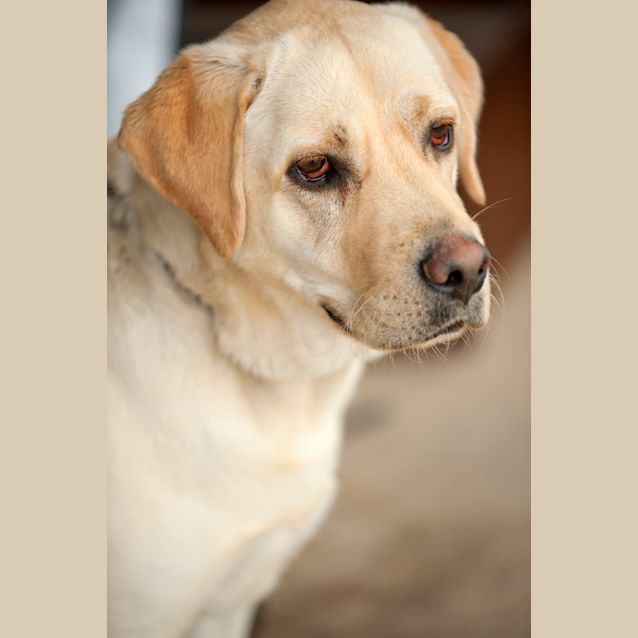 Photo of Roxy Id7820