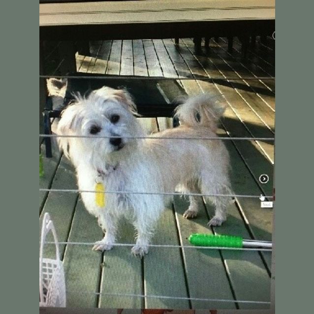 Photo of Lulu