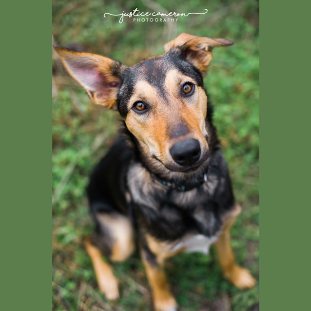 Photo of Koby The Kool Kid