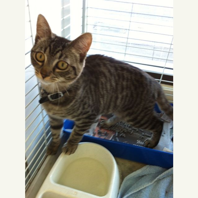 Photo of Patty And Selma