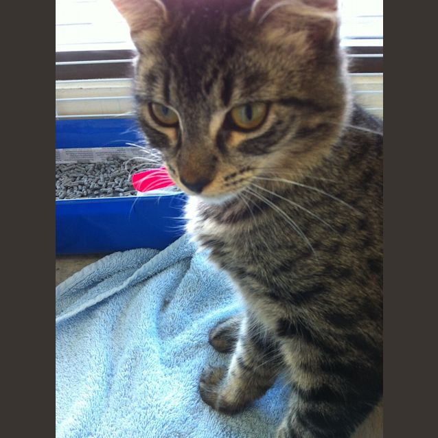 Photo of Patty And Selma