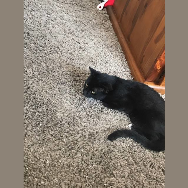 Photo of Malachi
