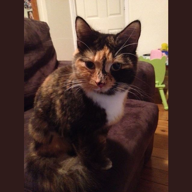Photo of Jewel