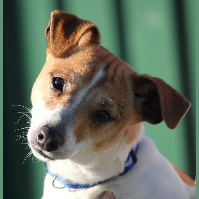 Photo of Murray   On Hold