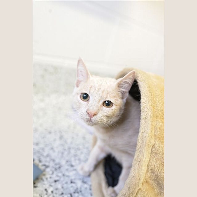 Photo of Sora