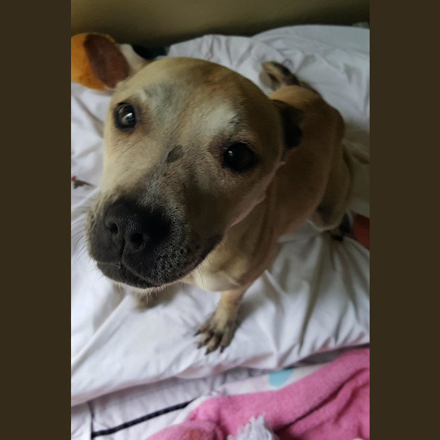Photo of Roxy