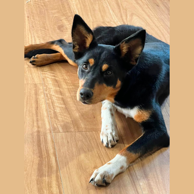Photo of Molly