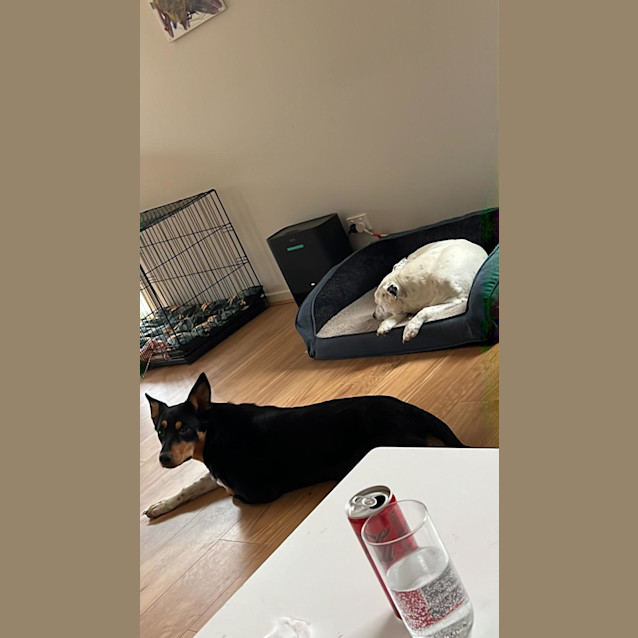 Photo of Molly