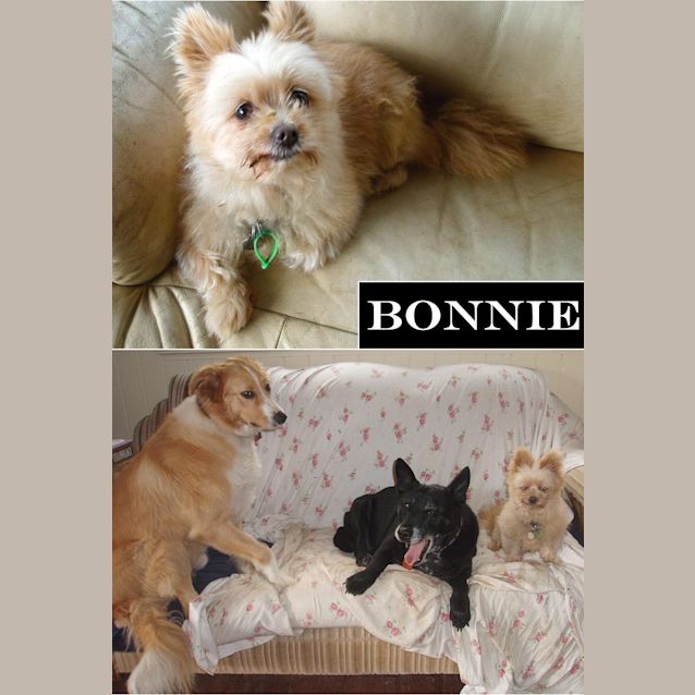 Photo of Bonnie