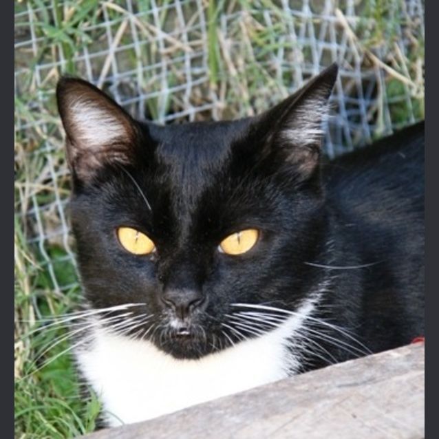 Photo of Maxie Max