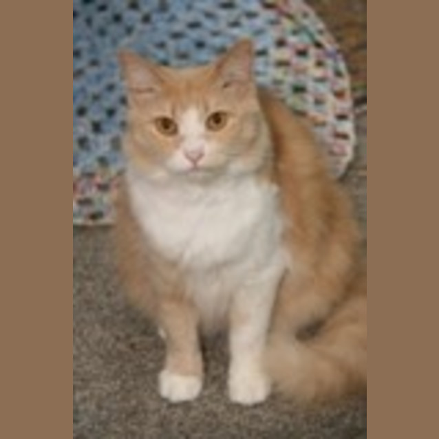 Photo of Ming Ming