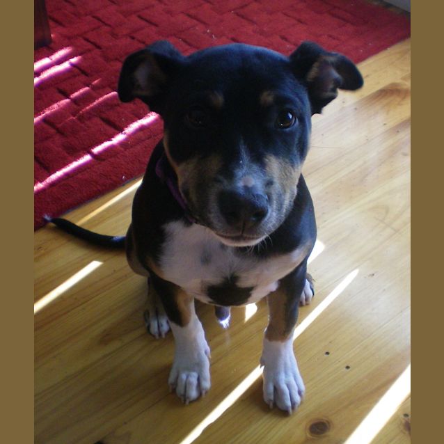 Photo of Jackson *On Trial In His New Home*