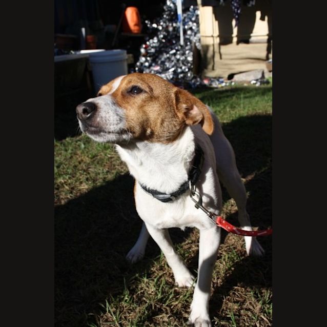 Photo of Tiffany (On Trial)