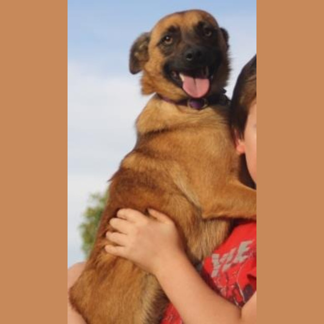 Photo of Maxi