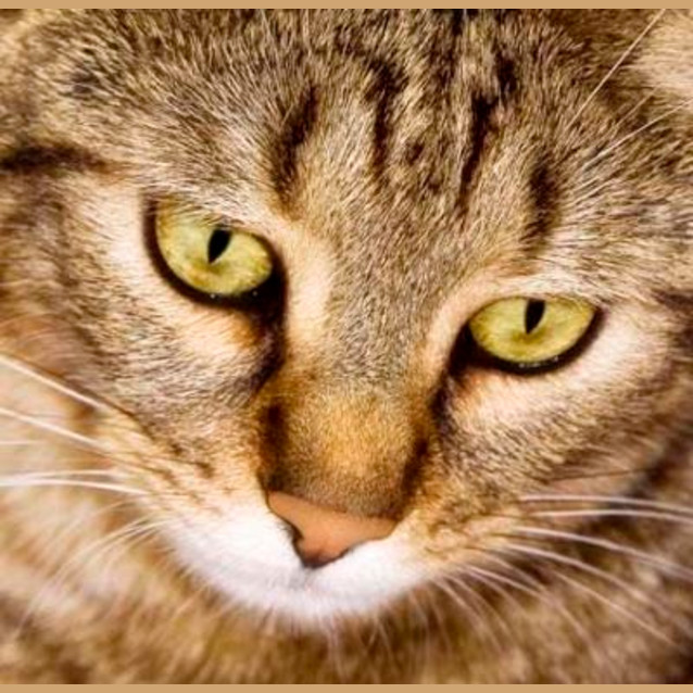 Photo of Tabitha