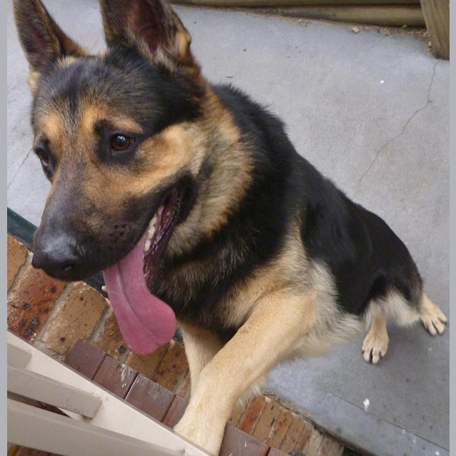 Photo of Ceaser