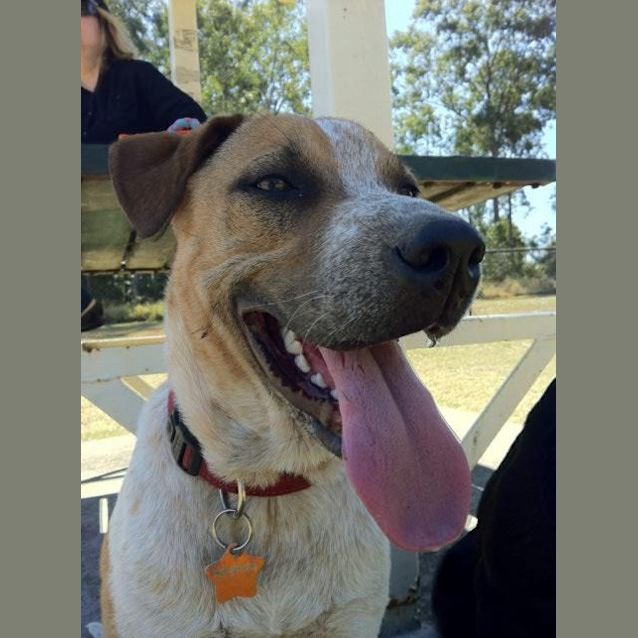Photo of Roo