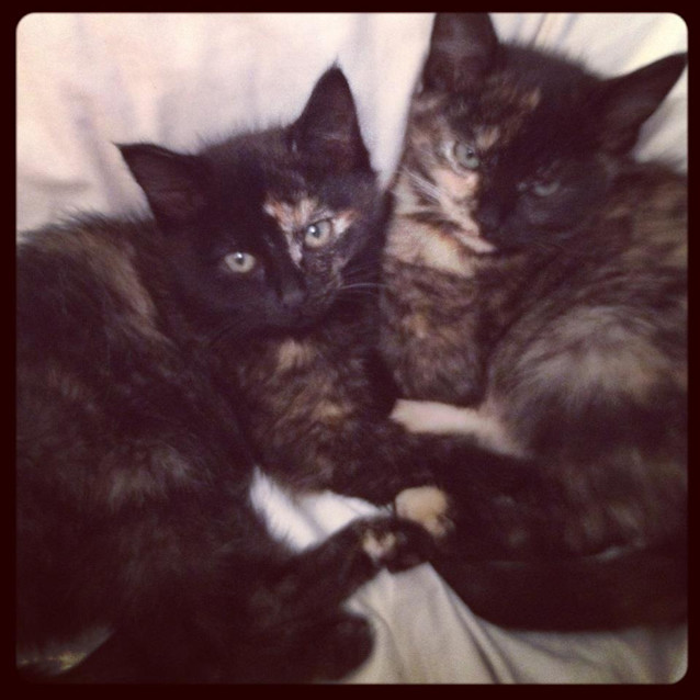Photo of Ava And Shiloh