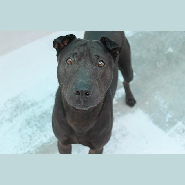 Photo of Murphy
