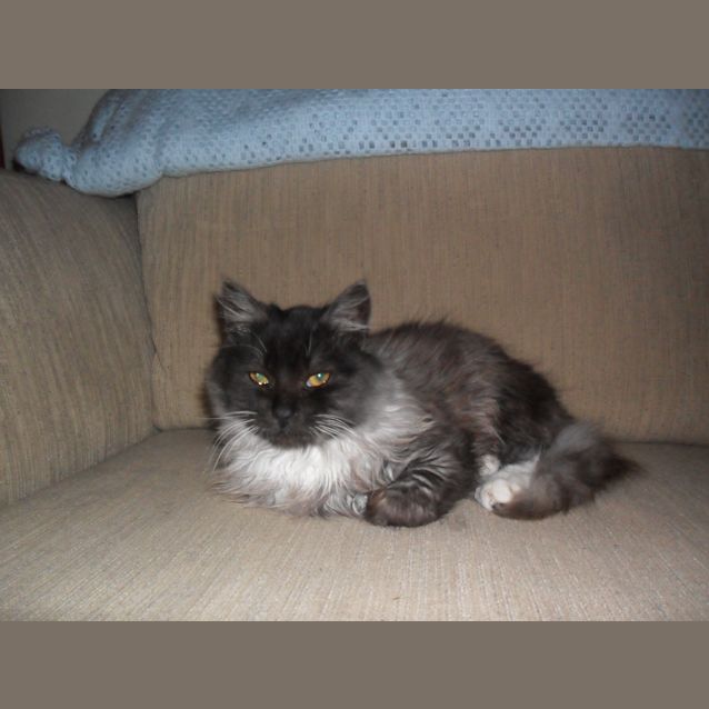 Photo of Sooty