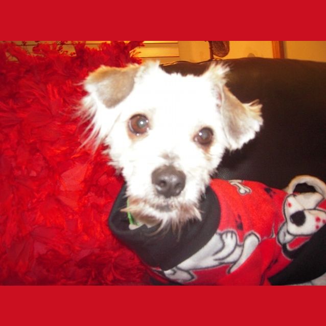 Photo of Millie