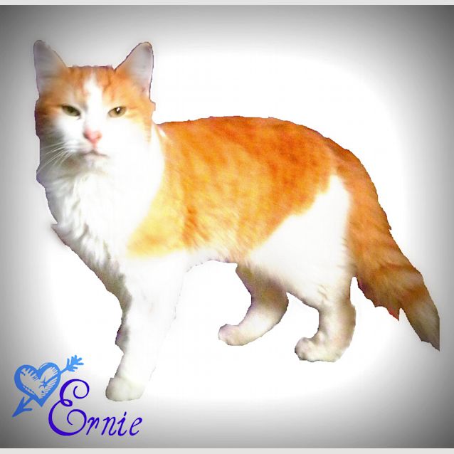 Photo of Ernie