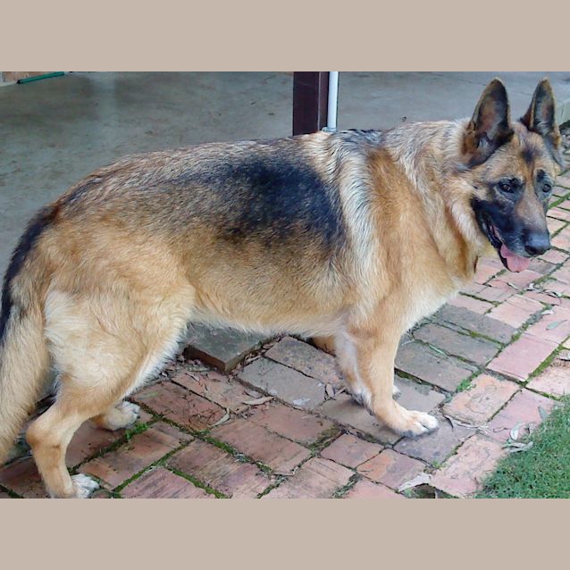 Photo of Lu Lu