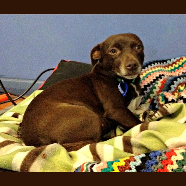 Photo of Zara (On Trial)