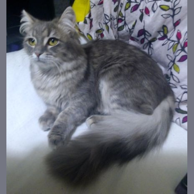 Photo of Zara