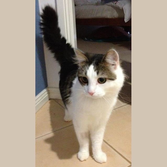 Photo of Jasper