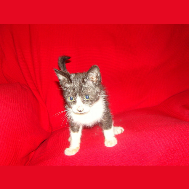 Photo of Armani